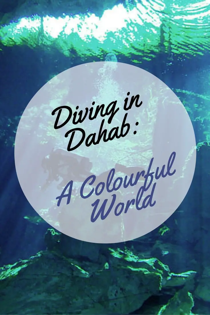 Plongée à Dahab : Un monde coloré