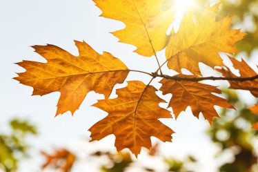 Vacances d'automne en Grèce, vacances en automne - Vacances d'automne en Grèce, vacances en automne
