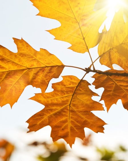 Vacances d'automne en Grèce, vacances en automne - Vacances d'automne en Grèce, vacances en automne