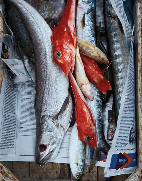 Les meilleurs endroits pour déguster des fruits de mer à Athènes 5 Les meilleurs endroits pour déguster des fruits de mer à Athènes - Les meilleurs endroits pour déguster des fruits de mer à Athènes