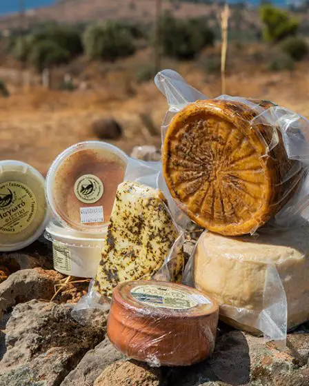 Que manger sur l'île d'Aegina cet été ? - Que manger sur l'île d'Aegina cet été ?