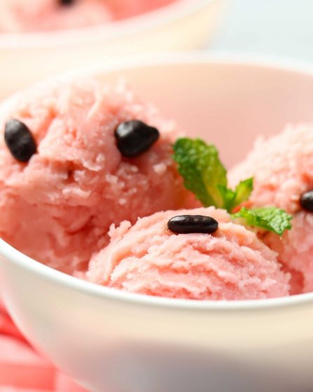 Recette de crème glacée à la pastèque maison - Recette de crème glacée à la pastèque maison