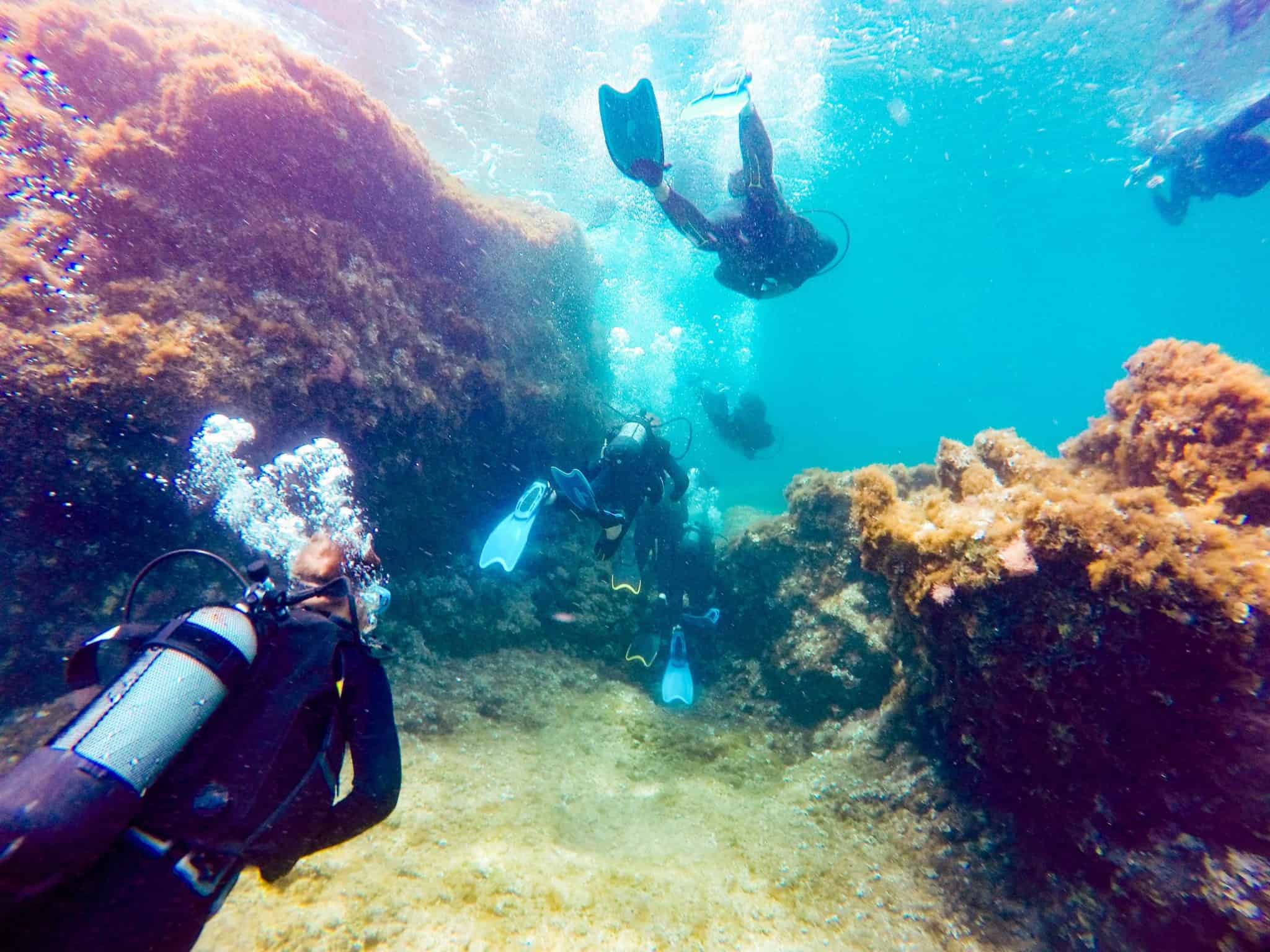 Plongée sous-marine à Rhodes