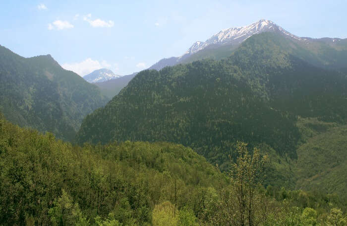 Des vacances en Grèce originales tournées sur la nature et les animaux ! 1 Parc national du Mont Pindos