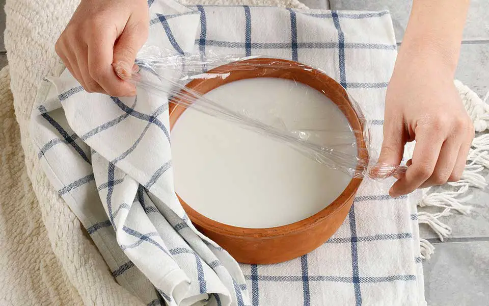 Comment faire son propre yaourt, étape par étape - Comment faire son propre yaourt, étape par étape