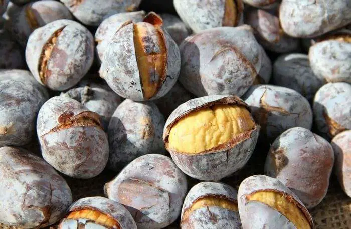 Top 9 à dévorer pendant les vacances 13 Marrons grillés